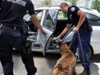 Qent e policise