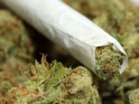 marihuana