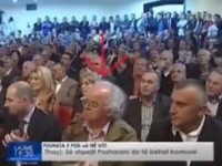 zejnullahu ne fushat