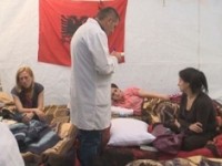 greva ne shqiperi
