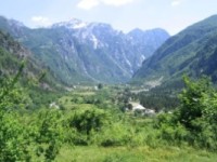 Shqiperia-pyje te gjelberuara