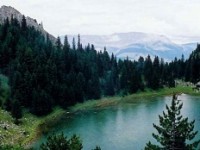 turizmii