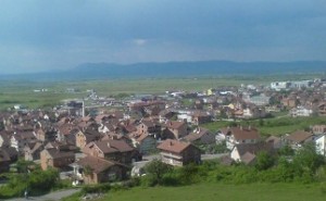 dardania ne pz