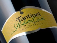 Fantinel Group