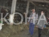 Hamez e Shqipe Kastrati