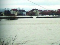 Vershimet ne Prizren
