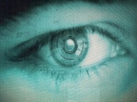 Big Brother-syri