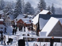 Brezovica600