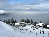 Brezovica600