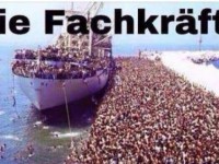 Azilkerkuesit shqiptare