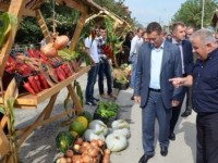 Festivali i Specit ne Krushe te Madhe