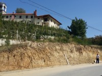 Zoqishte-rregullimi i murit