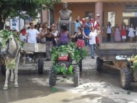 festa e rrushit rahovec