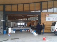tregu ne suharek