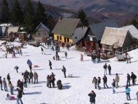 Brezovica-ski