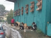 Qente ne QSUT2