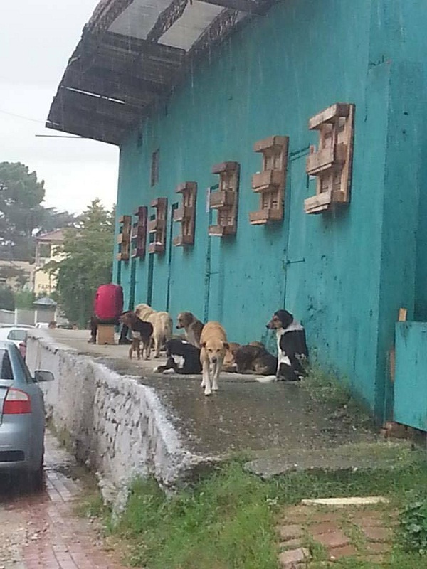 Qente ne QSUT2