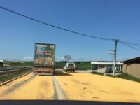 Autostrada me miser