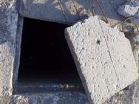 pusetan1