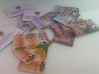 Liria-bileta vjetore