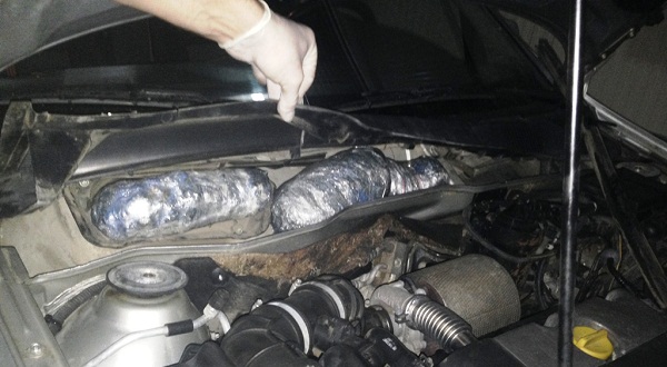 Në Vërmicë kapen mbi 10 kg marihuanë (Foto)