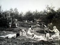 Sommerwiese