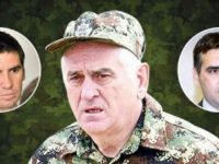 nikolic
