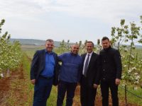 pemtaret ne malishev