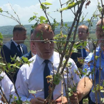 haradinaj vnesht te rahoecit