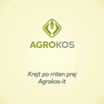 CEO_AGROKOS_2018_web-banners_230x240_1 (1)