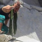108029895_idlib_2
