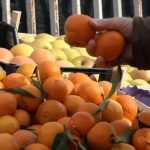 mandarina