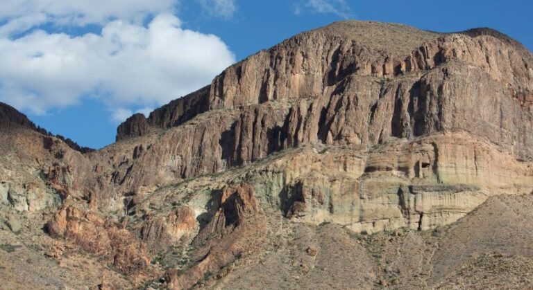 Teksas: Një 14-vjeçar dhe njerku i vet vdiqën nga vapa ekstreme pasi dolën për shëtitje