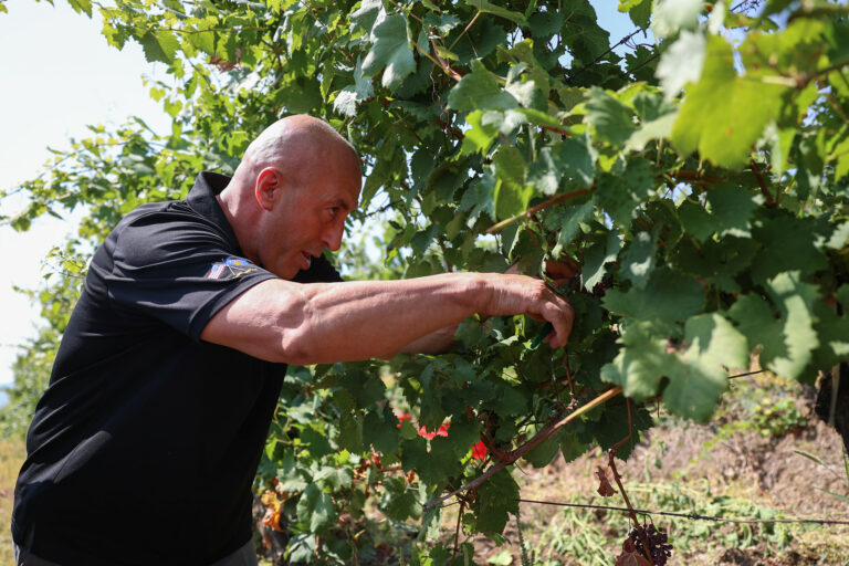 Haradinaj nga vreshtat e Rahovecit: S’guxojmë të largohemi nga aleatët