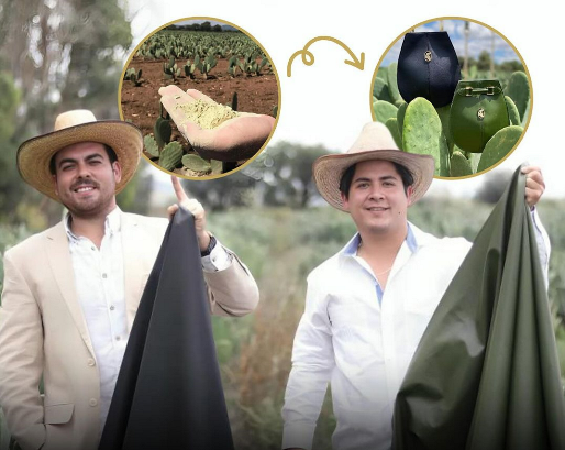 Këta dy shokë krijuan lëkurën nga kaktusi dhe i shpëtuan jetën 1 miliardë kafshëve