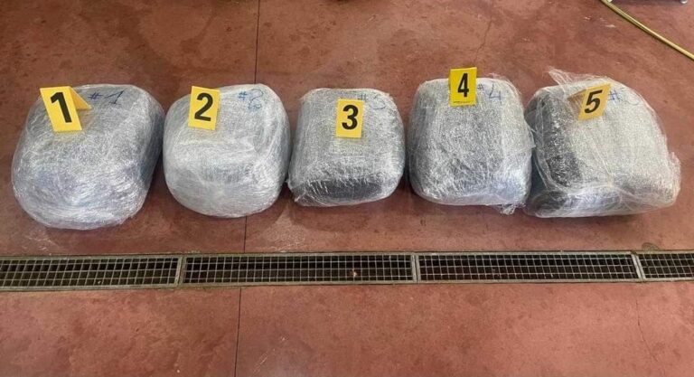 Konfiskohet drogë në vlerë rreth 70 mijë euro në Suharekë, arrstohen katër të dyshuar