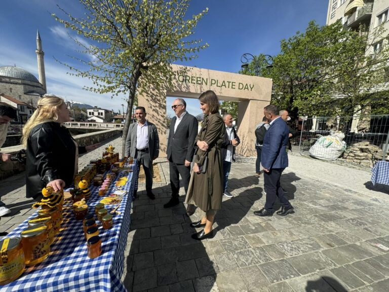 UNDP dhe ADA promovojnë bizneset e “gjelbërta” që udhëhiqen nga gratë e Prizrenit