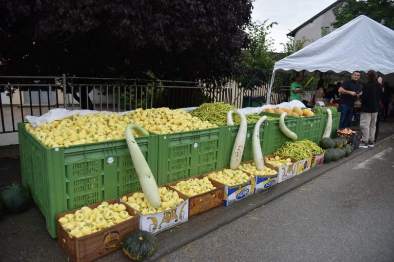 Thirrje për fermerët e Rahovecit: Bashkohuni në Agrofesta 2024 në Krushë të Madhe!