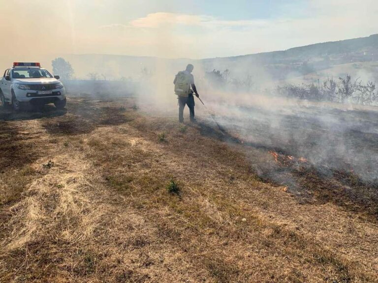 Përfshihen nga zjarret disa fusha dhe male në Suharekë