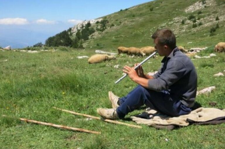 Si u prish miqësia e çobanit me gjarpnin