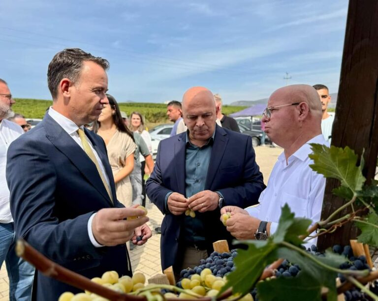 Hapet panairi i rrushit e verës në Hardh Fest