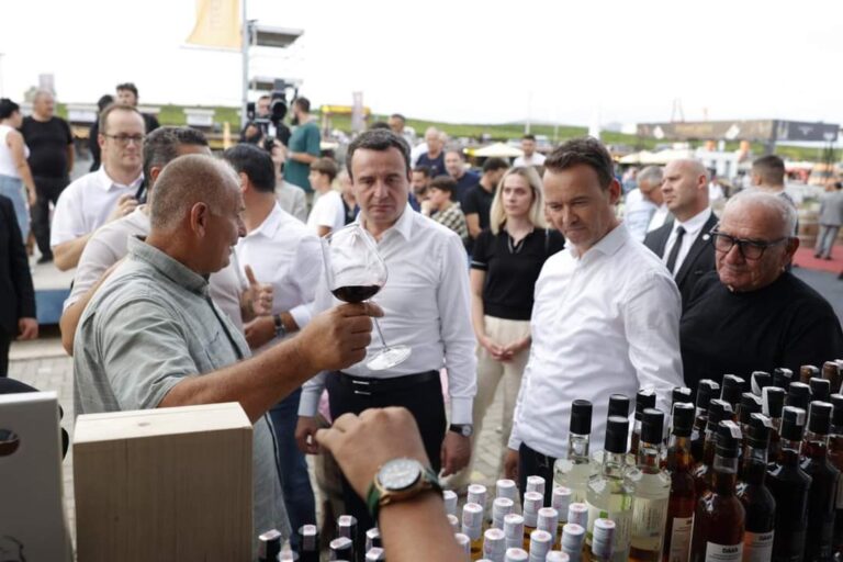Kryeministri Kurti dhe ministrat Çeku e Peci vizitojnë Hardhfestin
