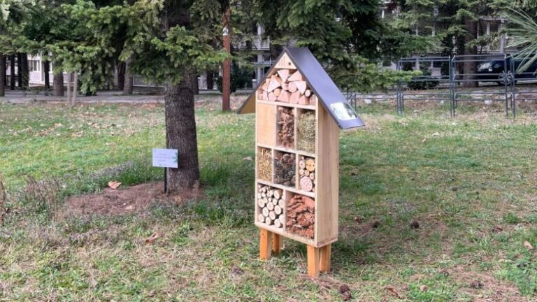Kampusi i Universitetit të Prizrenit pasurohet me tabela informuese për drunjtë dhe streha për insekte