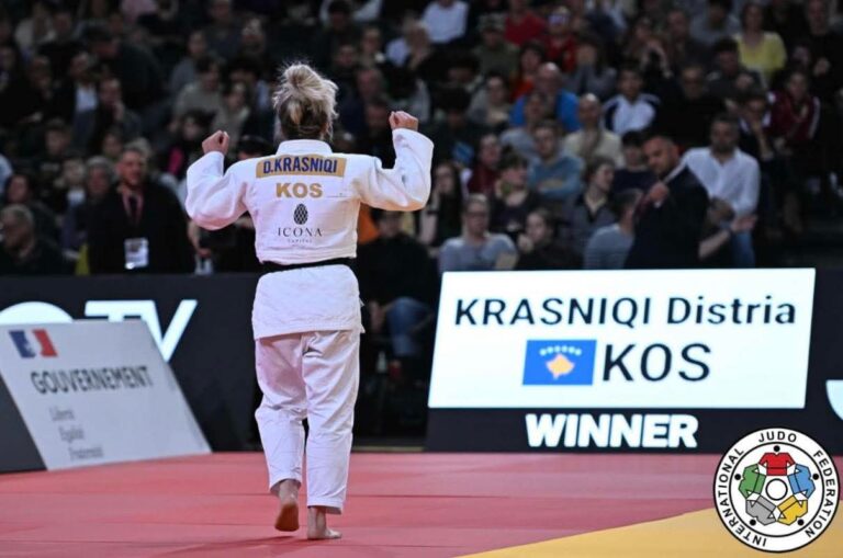 Distria e artë në Paris