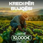 bicredit bujesi50000