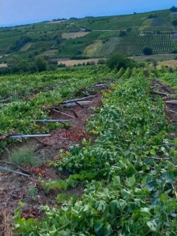 Komuna e Rahovecit fton qytetarët të paraqesin dëmet nga erërat e forta deri më 31 korrik